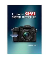 Lumix g91 system gebraucht kaufen  Trebbin
