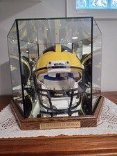 Michigan wolverines helmet for sale  Monroe