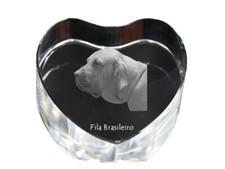 Usado, Fila brasileño, Perro de presa brasileño, Fila brasileiro, Cabeçudo boiadeiro co comprar usado  Enviando para Brazil