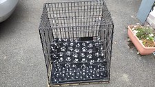 Petworld estate space for sale  READING