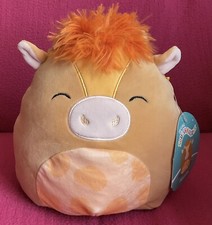 Squishmallows nassim brown for sale  CHATTERIS