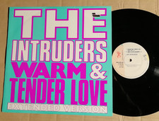 The intruders warm gebraucht kaufen  Großenwiehe