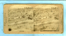 Bierstadt bethany looking for sale  Louisville