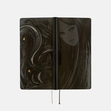 Hobonichi techo weeks usato  Spedire a Italy
