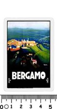 Calamita bergamo azienda usato  Italia