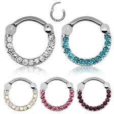 Segment ring septum gebraucht kaufen  Kreischa