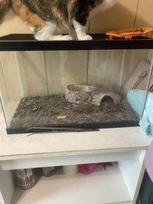 Fish tank reptile for sale  Millington