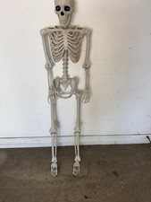 Lot life size for sale  Chandler