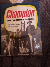 Champion wonder horse for sale  NEWPORT