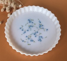 Plat tarte arcopal d'occasion  Avesnes-les-Aubert