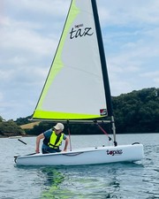 Topper topaz taz for sale  ROMSEY