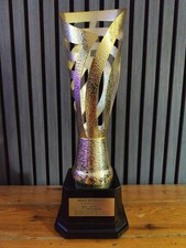 Riginal podium pokal gebraucht kaufen  Köln