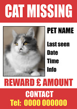 Missing cat personalised for sale  COLCHESTER