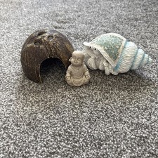 Hermit crab reptile for sale  Preston