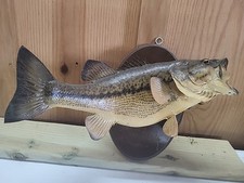Vintage taxidermy largemouth for sale  Boaz