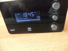 Dab radio dual gebraucht kaufen  Ebersdorf b.Coburg