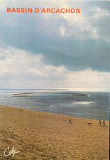 Bassin arcachon banc usato  Reggio Emilia