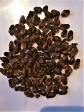 Soie lyophilises nourriture d'occasion  Ingwiller