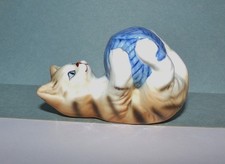 tabby cat for sale  Tomahawk
