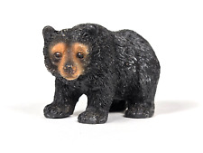 Small black bear for sale  Auburn