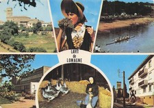 Lavit lomagne gaveuse d'occasion  France