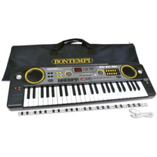 Bontempi harmonytouch tastiera usato  Roccagloriosa