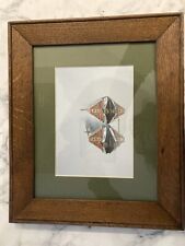 Alan firth framed for sale  PORTSMOUTH