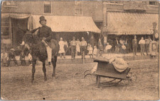 Vintage postcard horse for sale  Wichita Falls