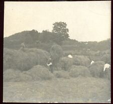 Photo ancienne fenaison d'occasion  Dijon
