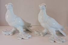 Vintage woestijnroos porcellai for sale  Port Charlotte