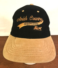Amish country pennsylvania for sale  Burnsville