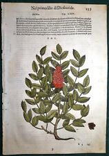 Stampa antica mattioli usato  Lecco