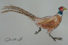 Original pen ink for sale  ABERYSTWYTH