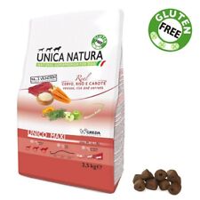 cane cinghiale usato cane cinghiale usato Carate Brianza