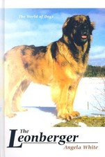 Leonberger white angela for sale  UK