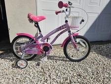 Apollo pink wild for sale Apollo pink wild for sale  HINCKLEY