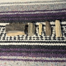 Petrified wood collection for sale  Porter