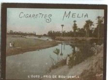 Cigarettes melia oued d'occasion  Étrépilly