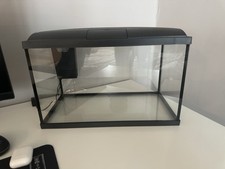 Brand new never for sale  ORPINGTON
