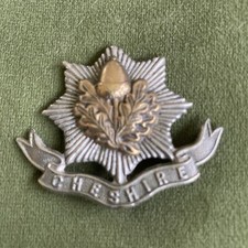 Cheshire regiment metal for sale  SKELMERSDALE