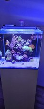 Meerwasseraquarium korallen fi gebraucht kaufen  Rimsting