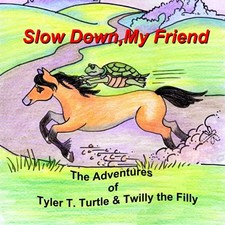 Slow friend adventures for sale  Denver