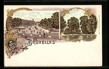 Lithographie bruxelles palais d'occasion  Expédié en France