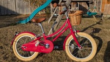 Bobbin gingersnap girls for sale  DROITWICH