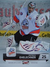 199 patrick ehelechner gebraucht kaufen  Lübbenau/Spreewald