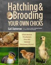 Hatching brooding chicks for sale  Montgomery