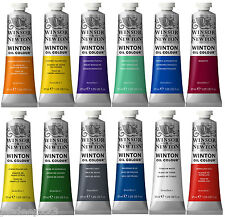 Winton oil paints for sale  NEWTOWN