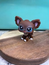 Chihuahua dog 219 for sale  Marion