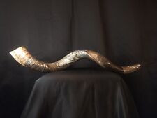 Silver plate shofar for sale  Aurora