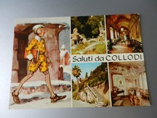 20164 pistoia collodi usato  Genova